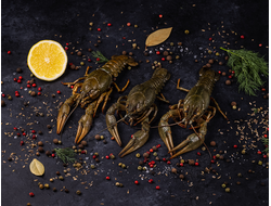 Отборный рак ~ 11-14шт в 1 кг