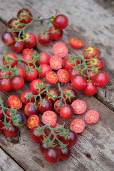 Томат Маленький Красный Корвет (Little Red Corvete), 10 шт