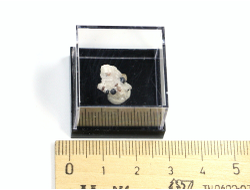 Франклинит, Виллемит в пластиковом боксе, США, Франклин №22330