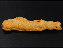 Коралл природный, Индонезия (104*25*18 мм, 26 г) №27543