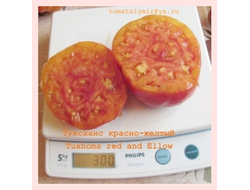 Томат Туксханс красно-жёлтый (Tuxhorn’s Red and Yellow)