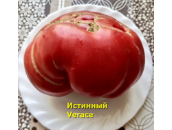 Томат Истинный (Verace, Италия)