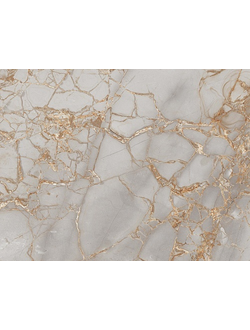 Керамогранит Primavera PR212 Golden Grey High glossy 600*1200