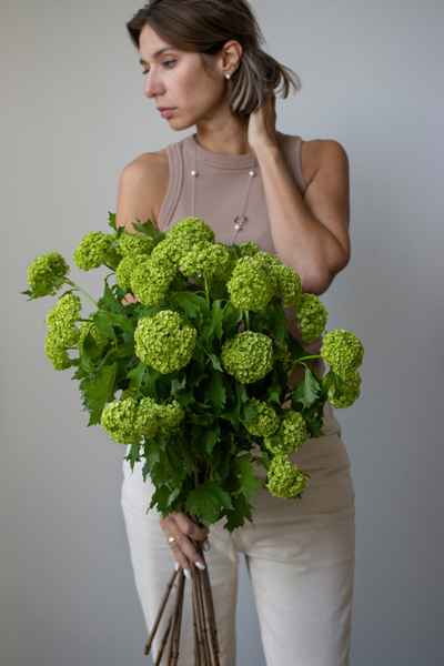 Моно букет цветов № 530