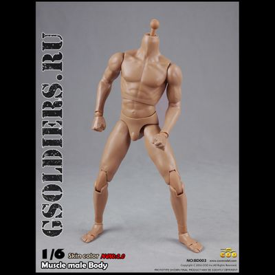 Тело мускулистое с шеей 1/6 - NEW:2.0 Body NO: BD003 - COOMODEL