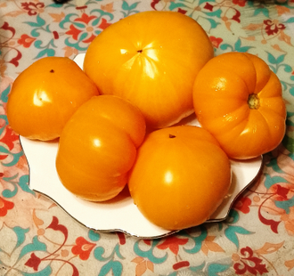 Семена томата Ранний оранжевый Розали