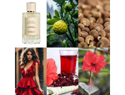 Chloe Atelier Des Fleurs Hibiscus Abelmoschus