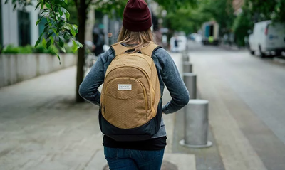 Dakine prom 25l backpack best sale