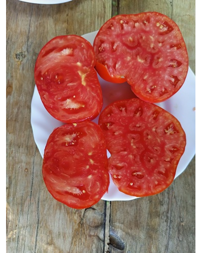 Томат Каркиано (Karkiano), Испания