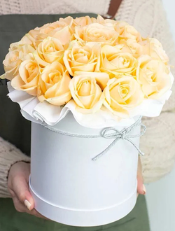 19 персиковых роз в цилиндре