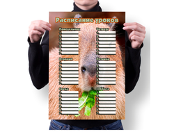 Расписание уроков вертикальное Капибара, Kapibara-san №33