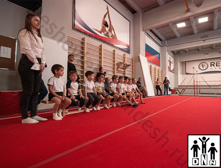 Помост гимнастический на пружинной основе. Томск,  Реактор