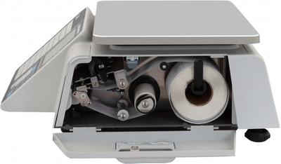 CAS "CL3000J-Р" 38*25 см