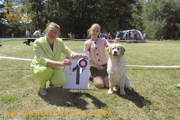 Первая выставка. 6 мес