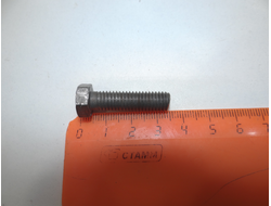 Болт М 8 (для мопедов Рига)