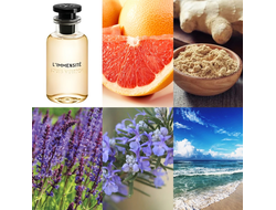 Louis Vuitton L'Immensite