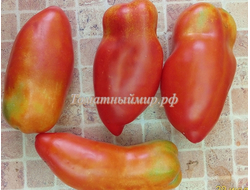 Томат Перцевидный гигант