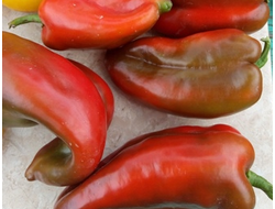 Перец сладкий Паланичко чудо