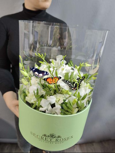 Букет с бабочками № 132