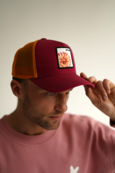 БЕЙСБОЛКА ПРИЯТНО "НУТАН"