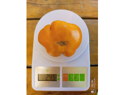 Томат Оаксаканская драгоценность (Oaxacan Jewel)