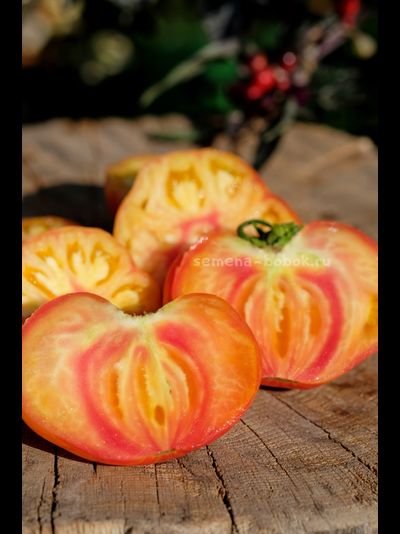 Томат Грибное Лукошко Полосатое, 10 шт