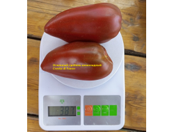 Томат Огненный гребень (Cresta di Fuoco) шоколадный, Италия