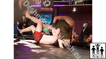 Октагон. турнир Grad-5. Бои без правил Восьмиугольник 36