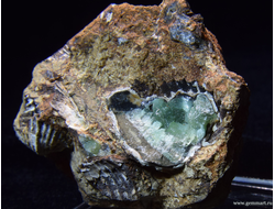 Анапаит, кристаллы в полости ракушки. 55*52*33мм