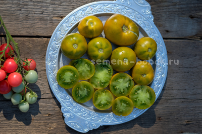 Томат Lime Green Salad (Лайм Грин Салад), 10 шт