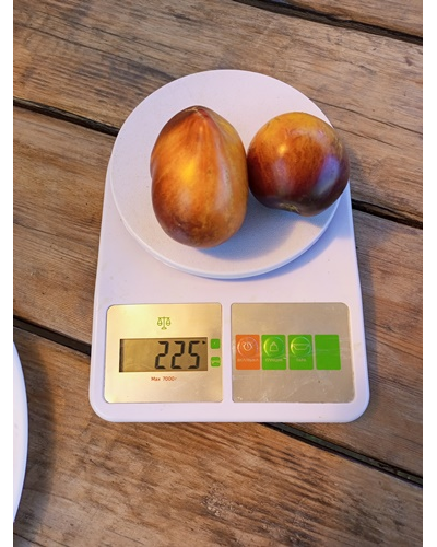 Томат Сладкая карамель Софии