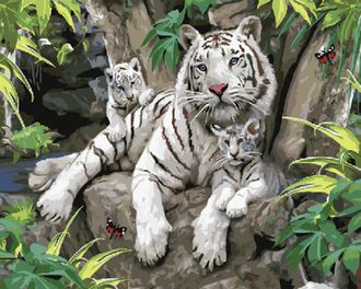 Картина по номерам GX 21877 Белая тигрица с тигрятами