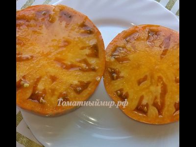 Томат Kozula 179 (Zebra Zolta /Volta , Польша)