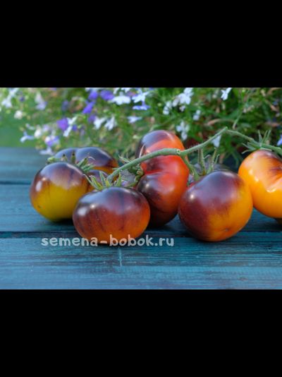 Томат Чупа-Чупс (Chupa Chups) , 10 шт