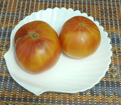 Томат Желто-оранжевые от Умриловой