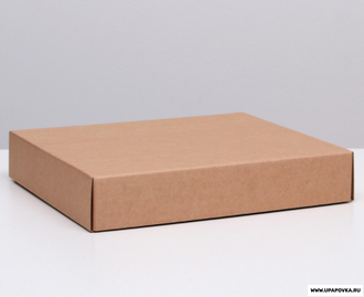 Коробка картонная 37 x 32 x 7 см