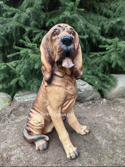 БЛАДХАУНД 59*32см  4,1кг  полистоун Россия 4397/016722*