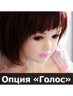 Опция "Голос" линейки Economical