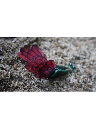 Летние серьги &quot;Крылышки Маковой Феи, коконы Дриад и капельки росы&quot;