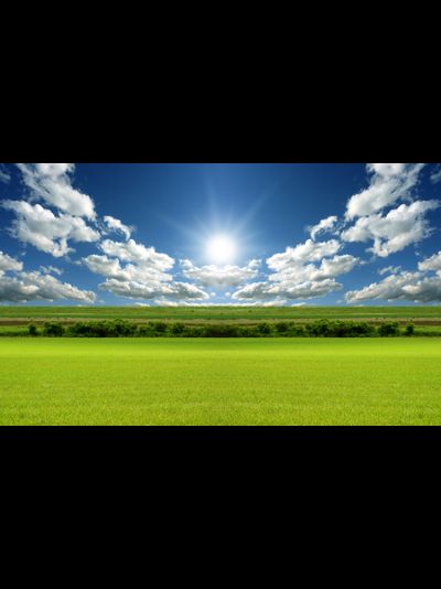Купить греющую картину с фото поле, солнце, облака
