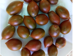 Томат Гранатовая капля