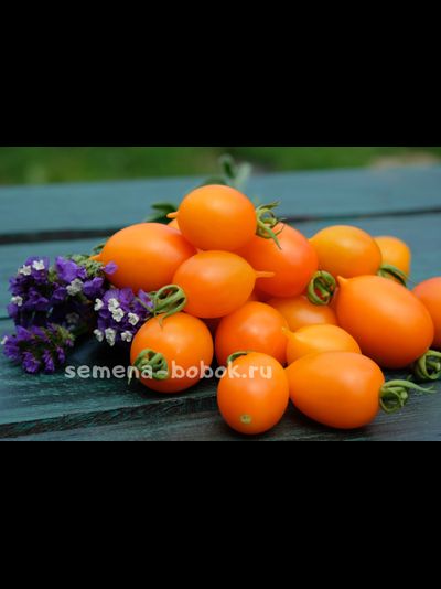 Томат Юстина (Justyna), 10 шт