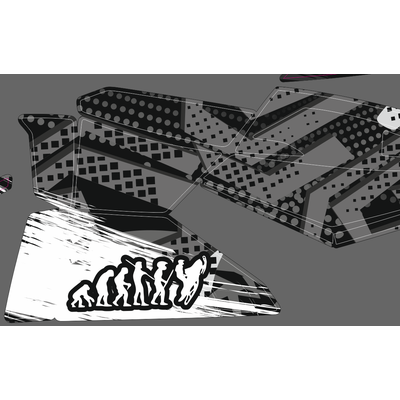 Наклейки на снегоход Tundra - 2010 2011 2012 2013  №978