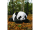 Плюшевая панда 110 см (лежачая)