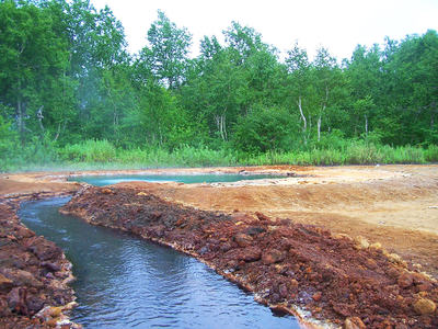 грифон Иванова