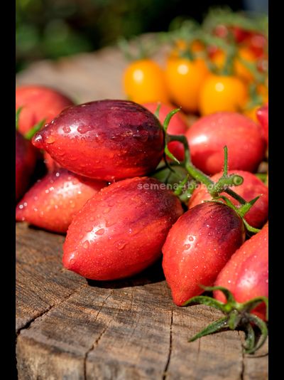 Томат Загадка Клубничного Водопада