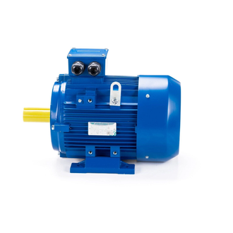 Электродвигатель АИС 100LB4 (3 кВт) IM B3