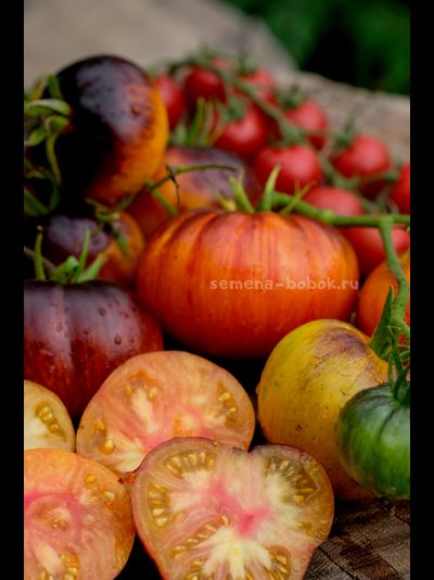 Томат Strangelove (Странная Любовь), 10 шт