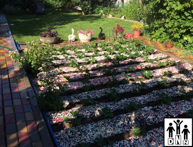 Дорожки для грядок между грядка