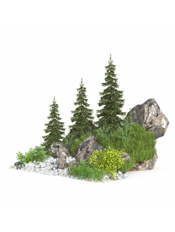 альпинарии Альпинарий 5